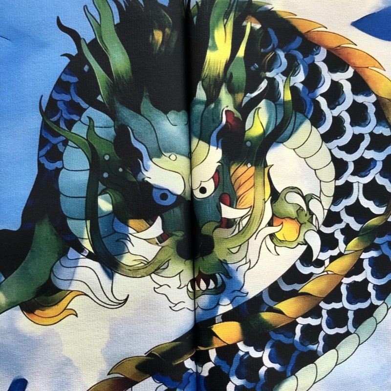 L0*is V*t0n Dragon Cloud printed T-shirt